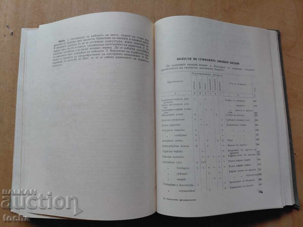 Special Phytopathology - 6