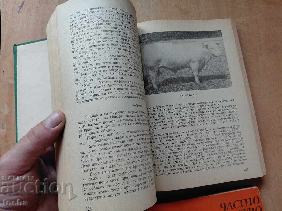 Παράδοση Ιδιωτική κτηνοτροφία, παρτίδα