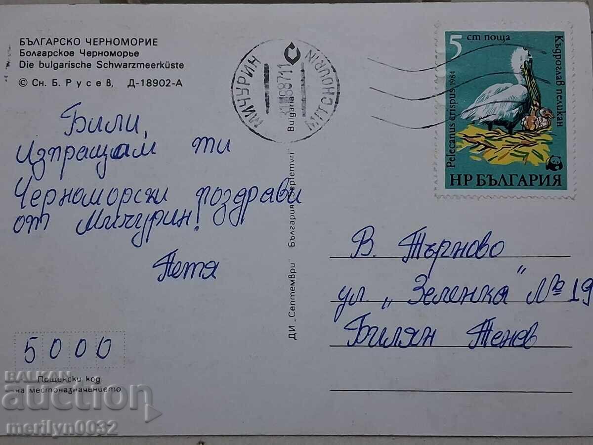 Licitație Fotografie carte poștală Litoralul bulgăresc al Mării Negre 1987 Licitație Fotografie carte poștală Litoralul bulgăresc al Mării Negre 1987