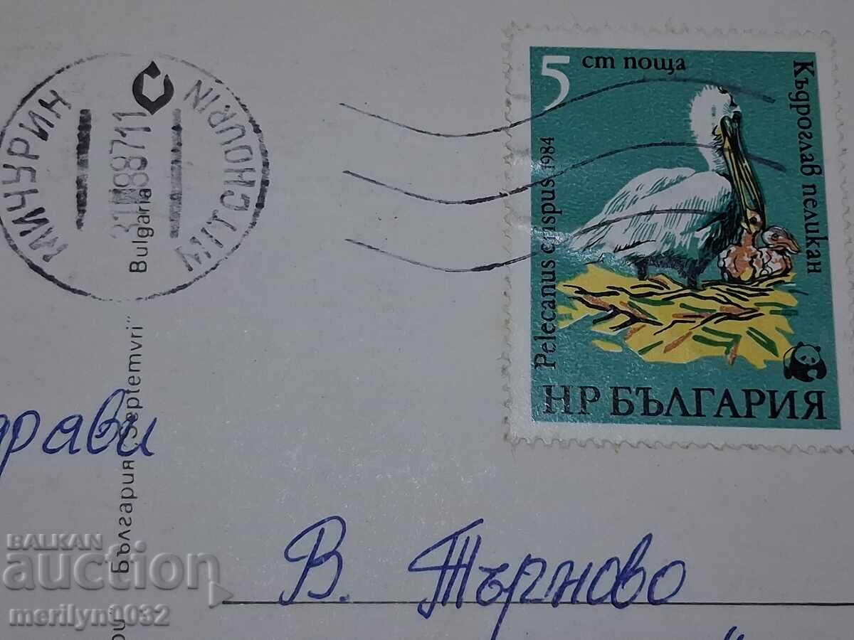 Fotografie carte poștală Litoralul bulgăresc al Mării Negre 1987 - 5 Fotografie carte poștală Litoralul bulgăresc al Mării Negre 1987 - 5