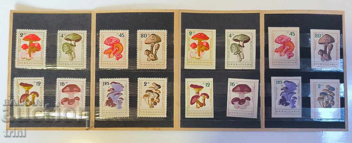 Bulgaria 1961 (20 decembrie) Ciuperci. în carnet original cu preț € 5.00 | 9.78 BGN Bulgaria 1961 (20 decembrie) Ciuperci. în carnet original cu preț € 5.00 | 9.78 BGN