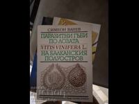 Ciupci parazite pe viile din Peninsula Balcanică