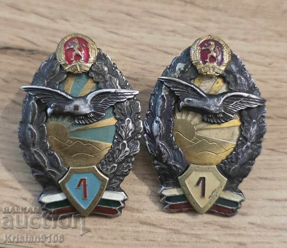 Pilot badges