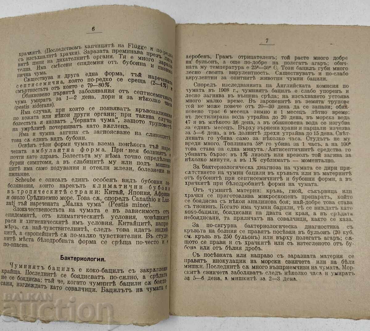 Licitație 1924 CIUMA