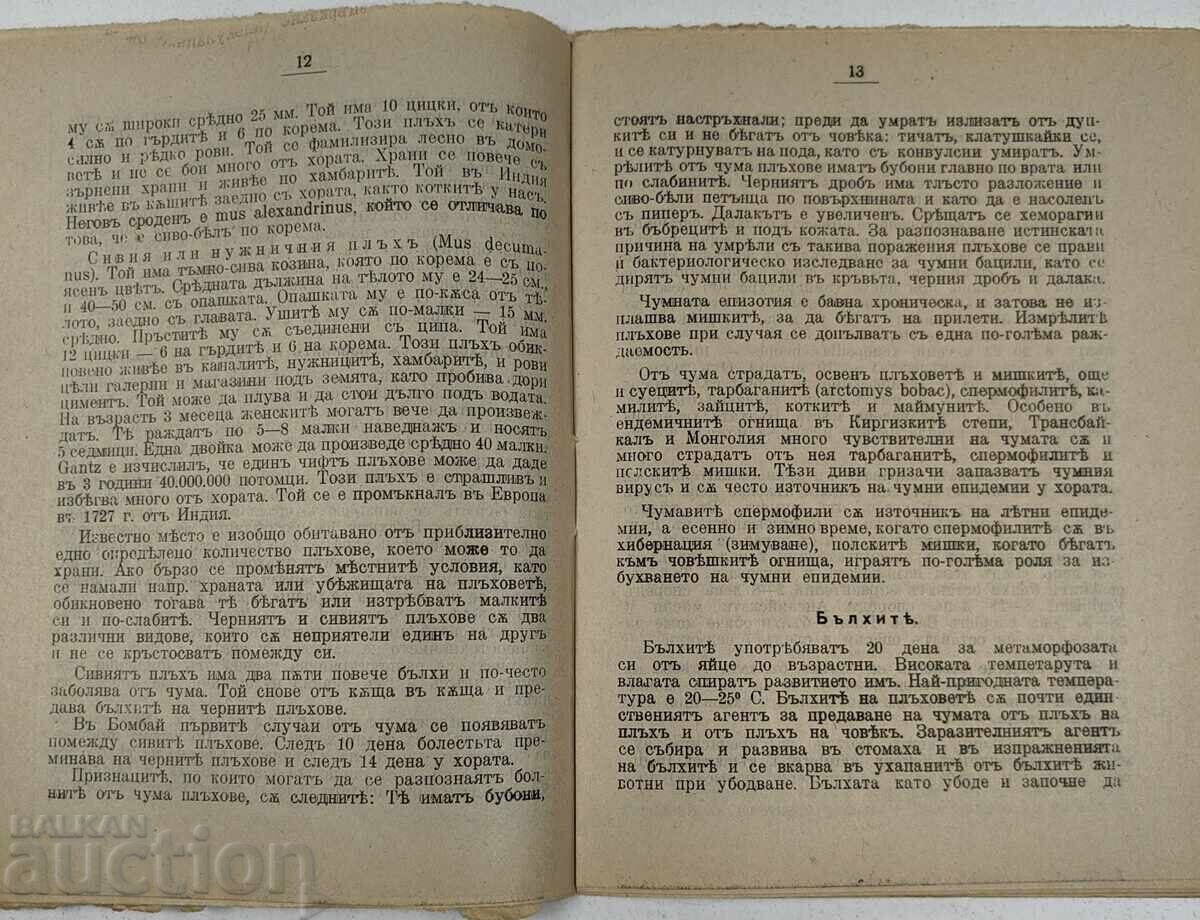 Livrarea 1924 CIUMA