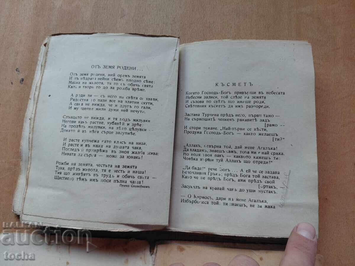 Licitație Poeți bulgari 1917, Epopeea celor uitați, lot