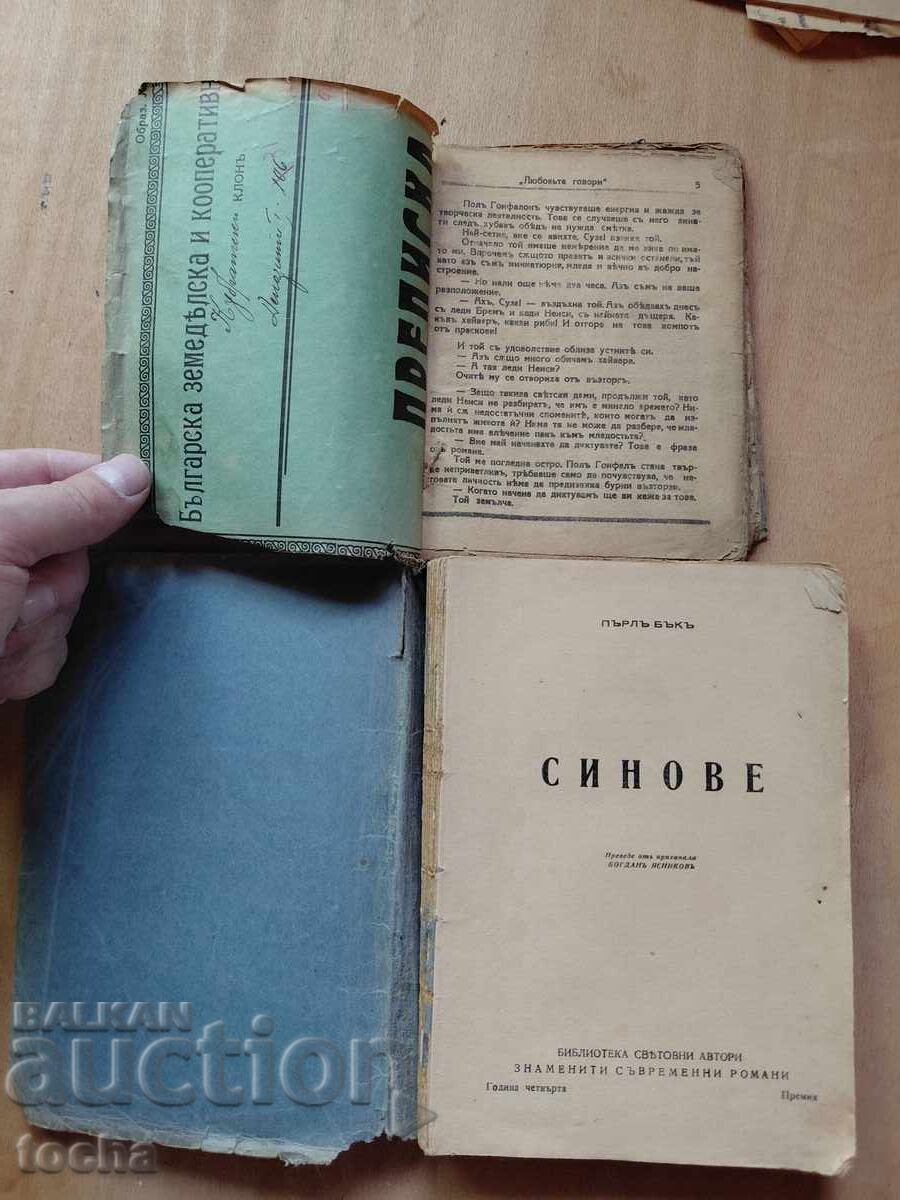 Любовта говори , Синове , лот с цена € 0.11 | 0.22 лв.