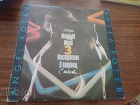 Disc de vinil Stăpki - Dispoziție la miezul nopții