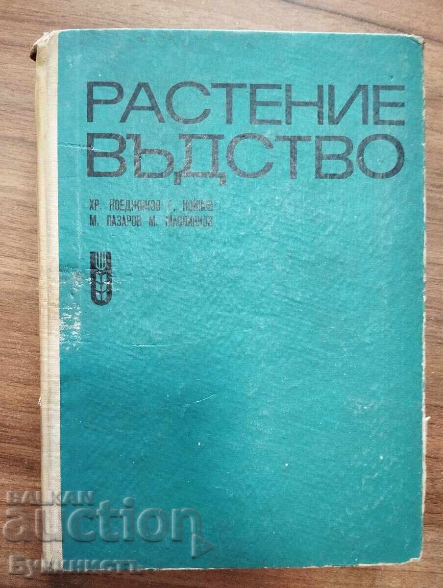 AGRICULTURĂ