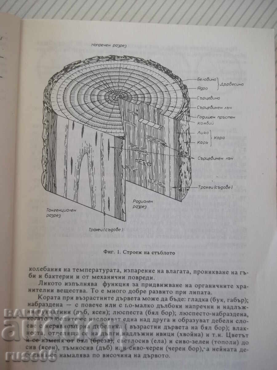 Licitație Carte "Știința materialelor - E. Enchev" - 216 pag