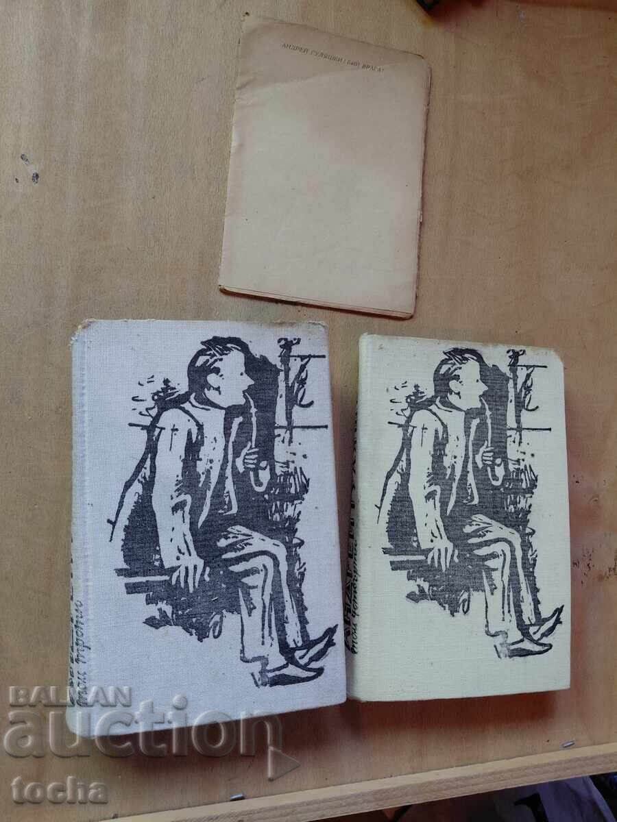 Андрей Гулашки , лот