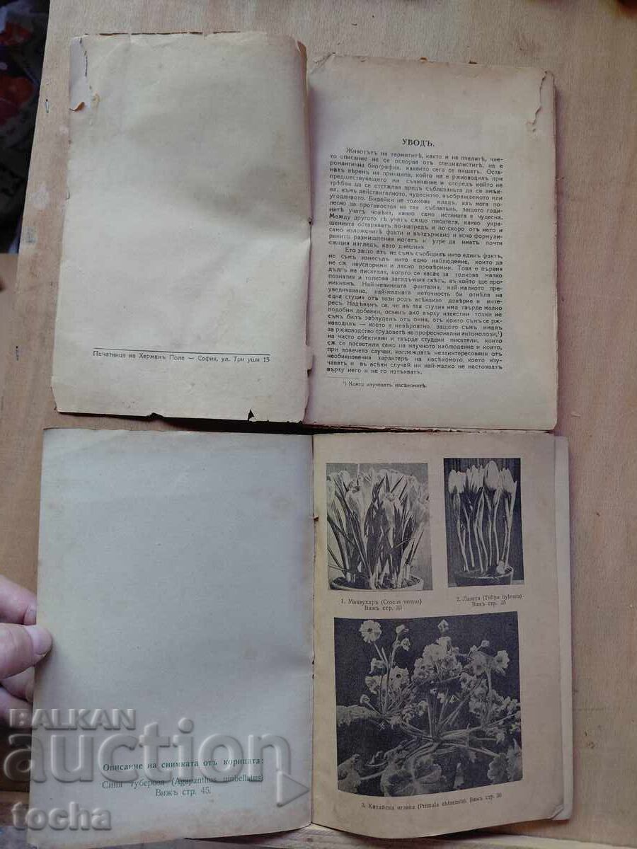 книжки преди 44-та  , лот с цена € 2.55 | 4.99 лв.