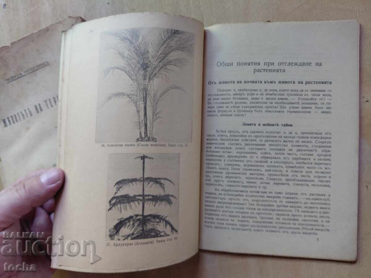 книжки преди 44-та  , лот - 6