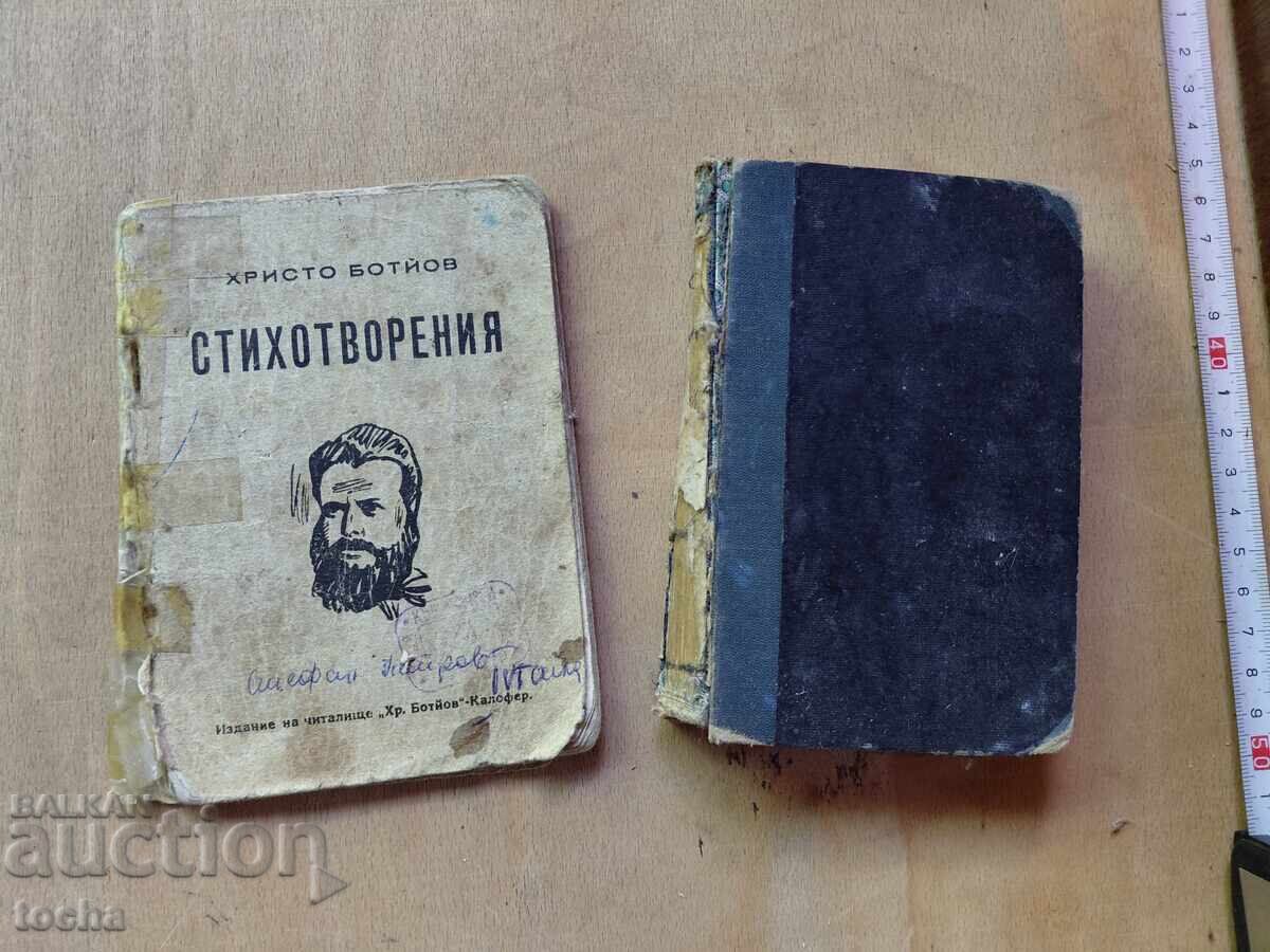 Khristo Botev, Bŭlgaro-frenski rechnik lot
