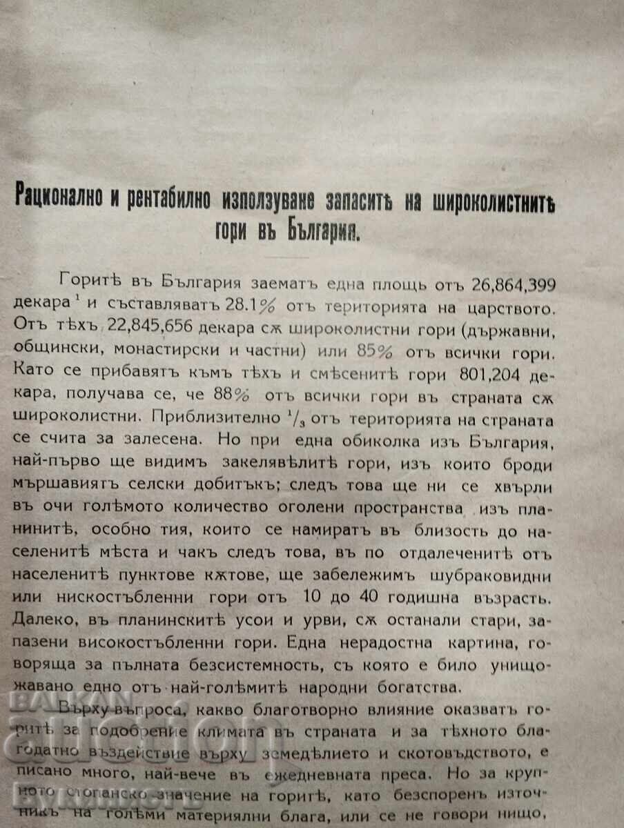 ΟΡΘΟΛΟΓΙΚΗ ΚΑΙ ΑΠΟΔΟΤΙΚΗ ΧΡΗΣΗ ΤΩΝ ΑΠΟΘΕΜΑΤΩΝ ΠΛΑΤΥΦΥΛΛΩΝ με τιμή € 30.00 | 58.68 BGN