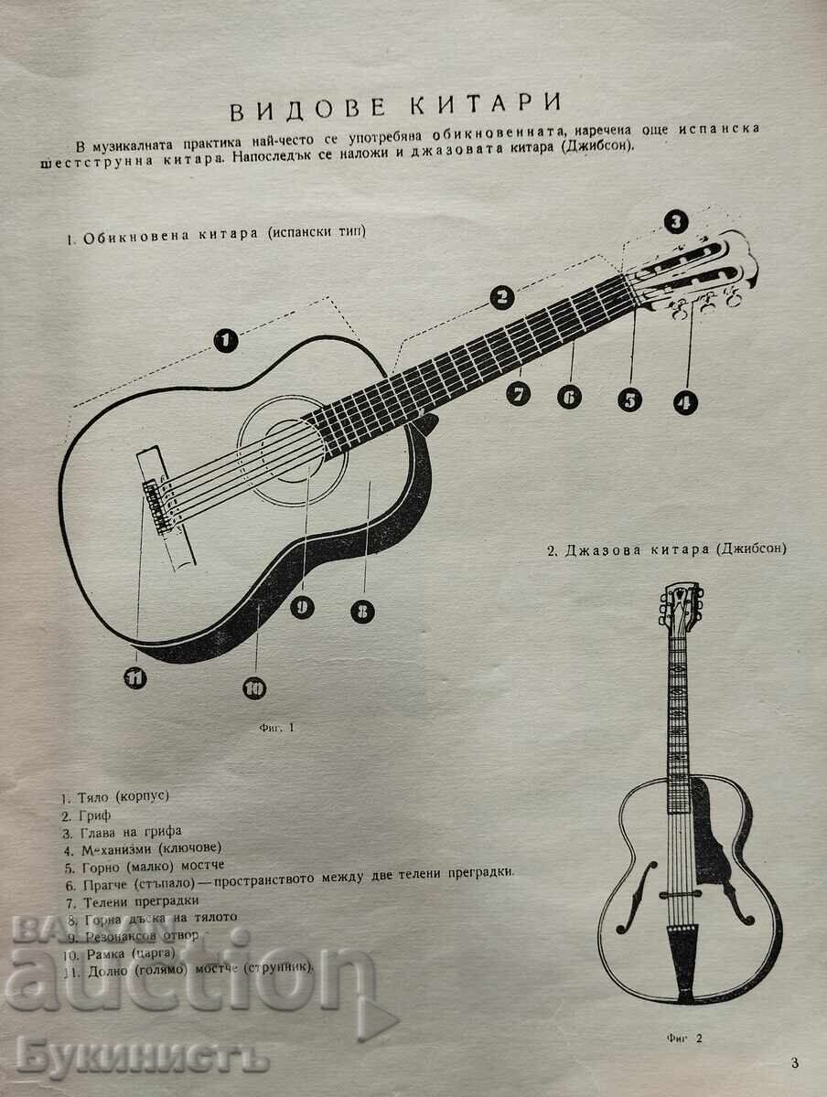 Licitație ȘCOALĂ DE CHITARĂ - NIKOLA NIKOV