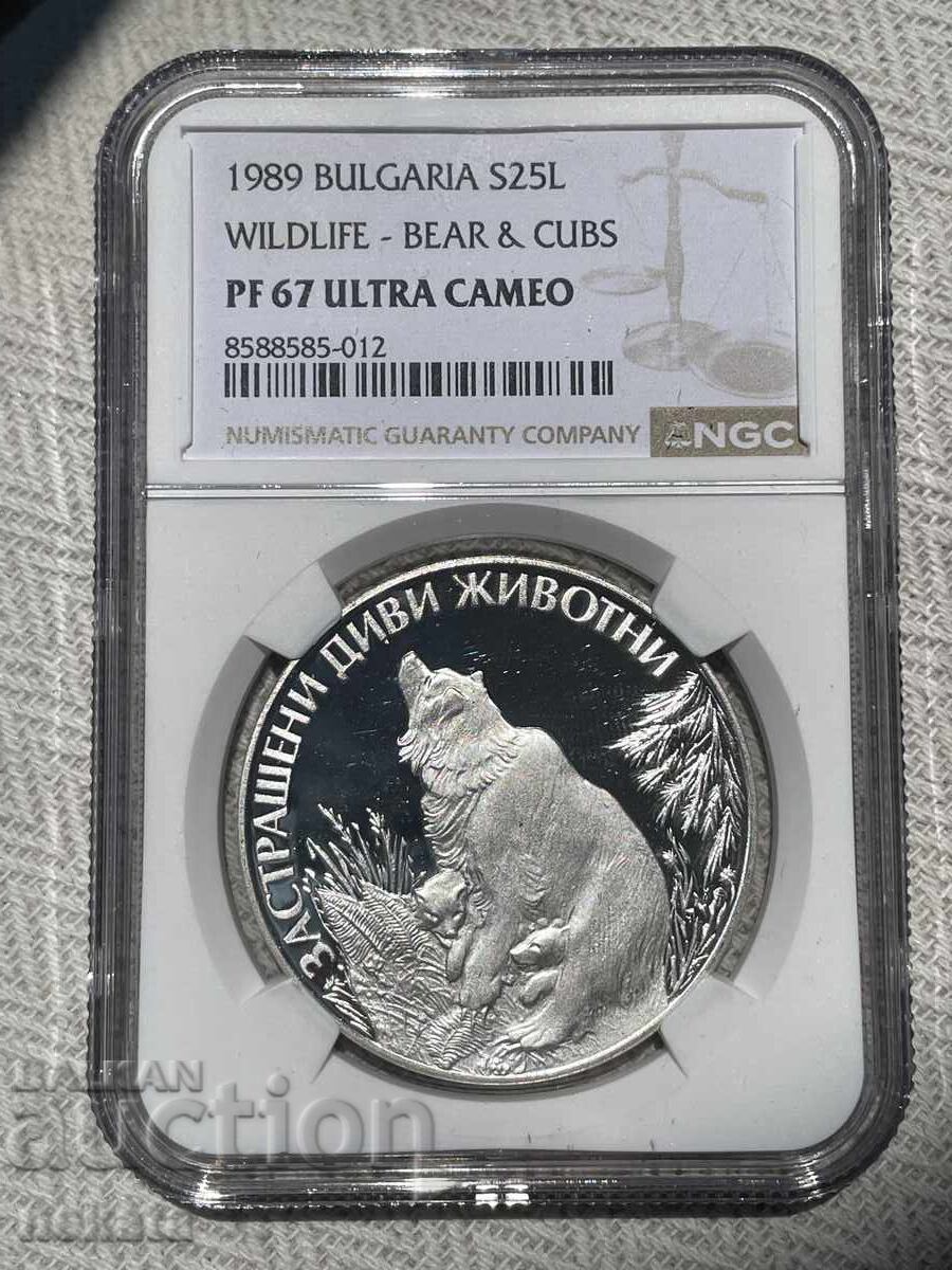 25 leva 1989 Bear with cubs NGC PF67 Ultra Cameo