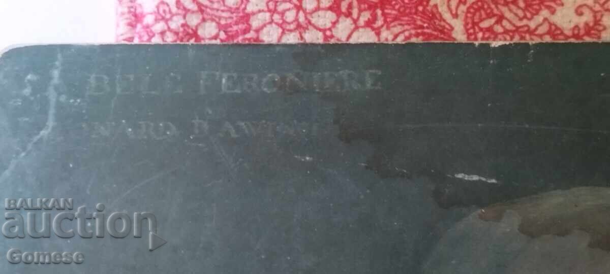 Livrarea Leonardo da Vinci Doamna cu hermină Livrarea Leonardo da Vinci Doamna cu hermină
