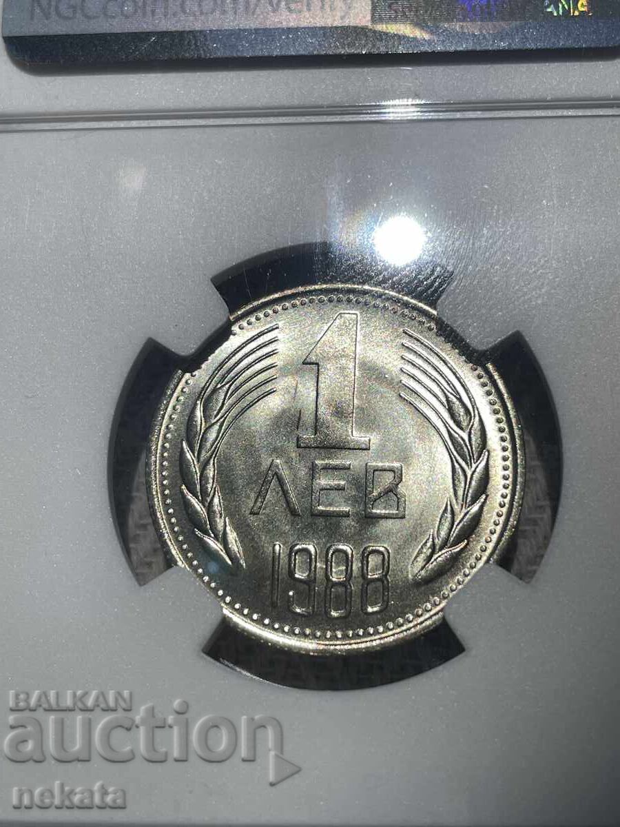 1 лев 1988 г. NGC MS68 ТопПоп - 8 1 лев 1988 г. NGC MS68 ТопПоп - 8