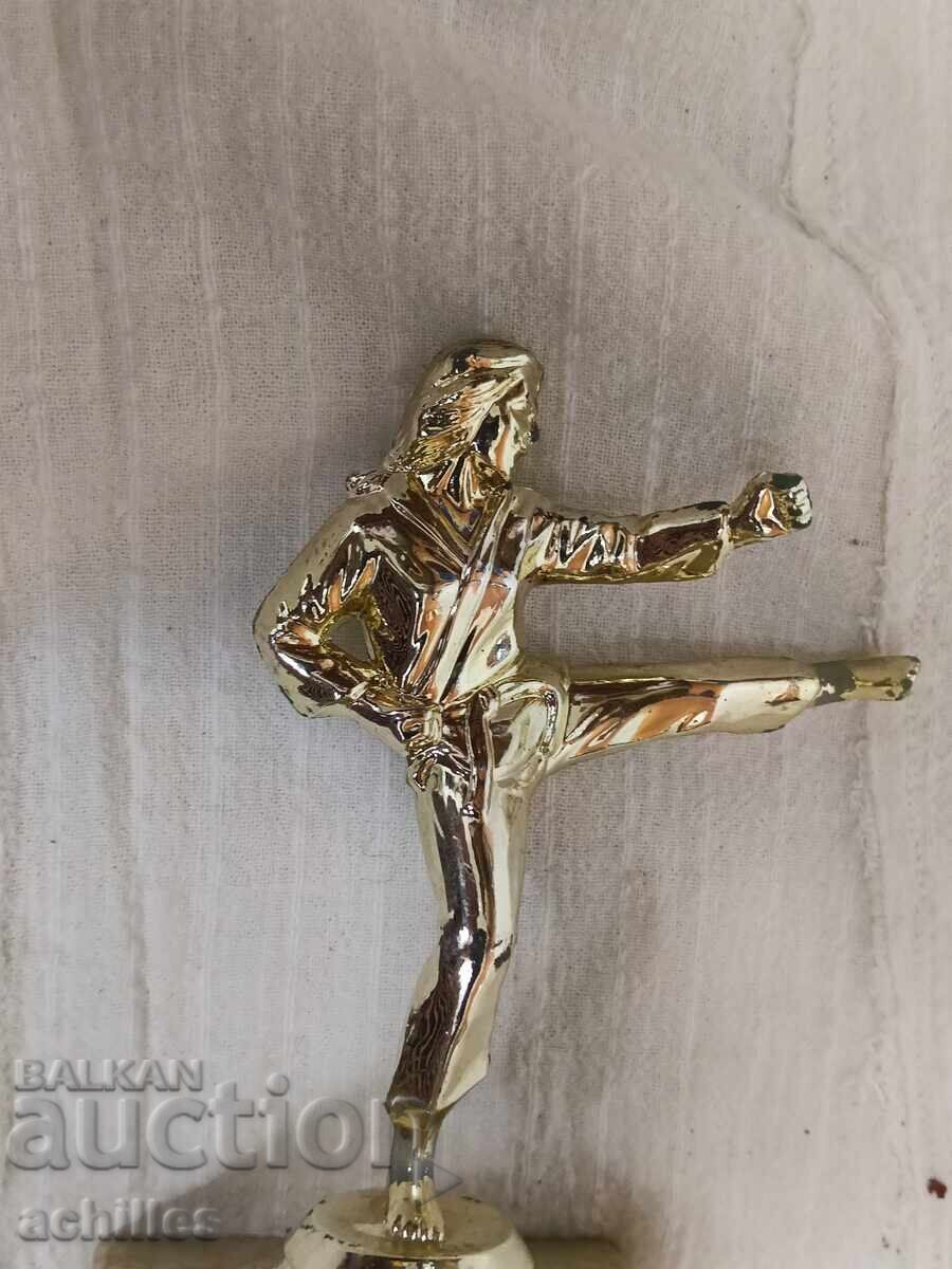 Licitație Premiu karate CSKA