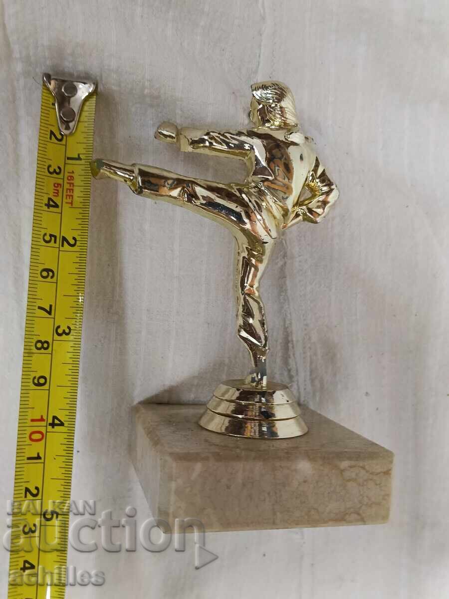 Livrarea Premiu karate CSKA