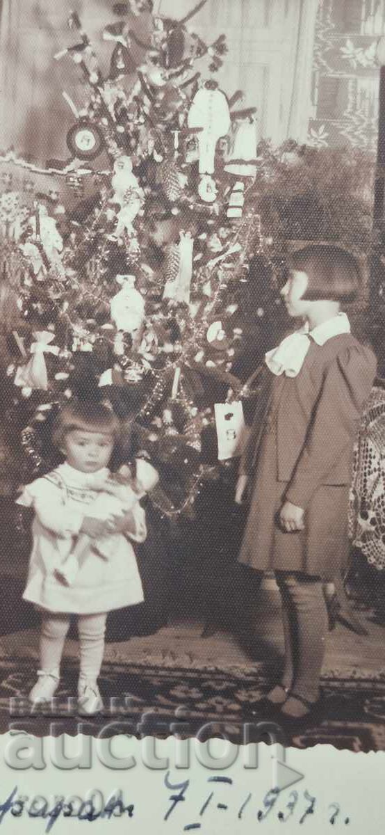 Licitație BELOGRADCHIK - 7. I .1937