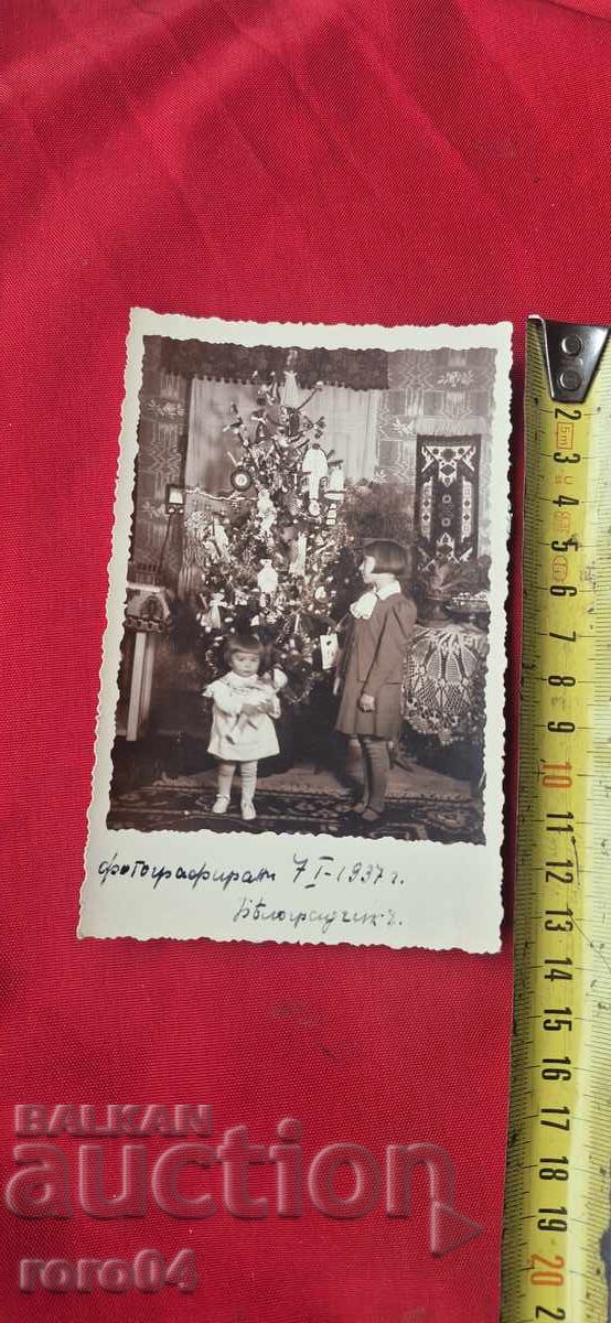 Livrarea BELOGRADCHIK - 7. I .1937