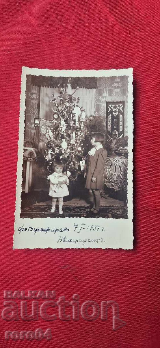 BELOGRADCHIK - 7. I .1937