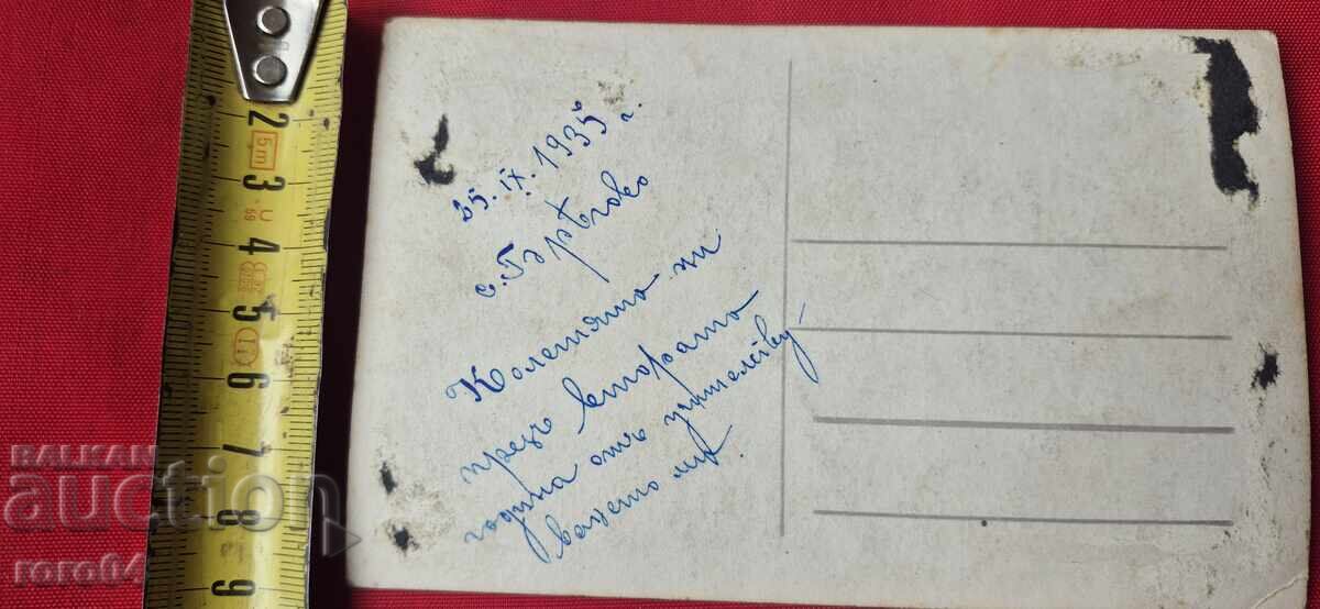 BREGOVO - REGIUNEA VIDIN - 6