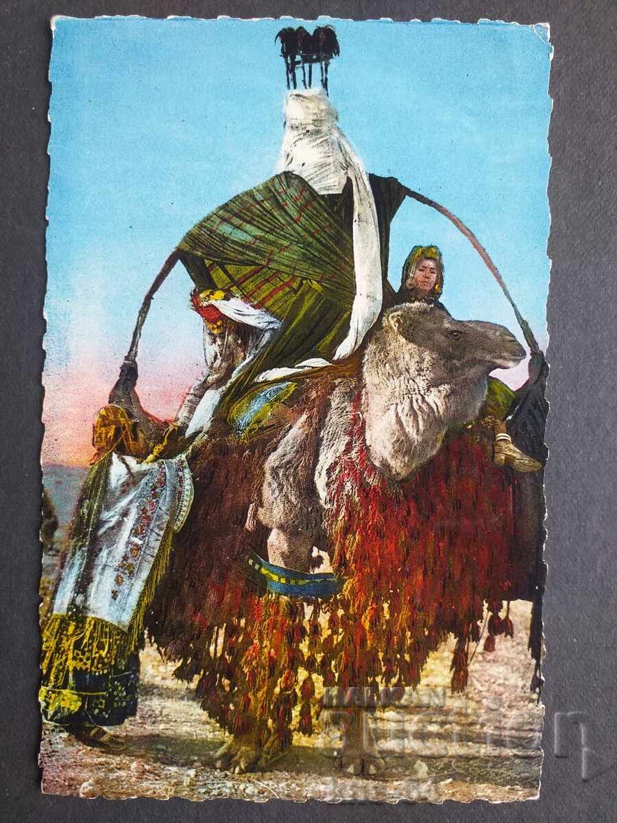 Algeria