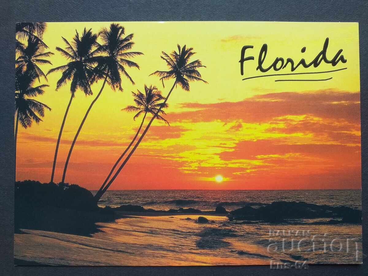 Florida SUA Florida SUA