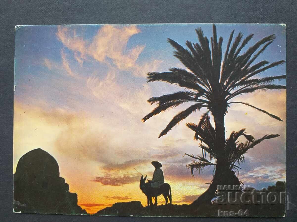 Tunisia