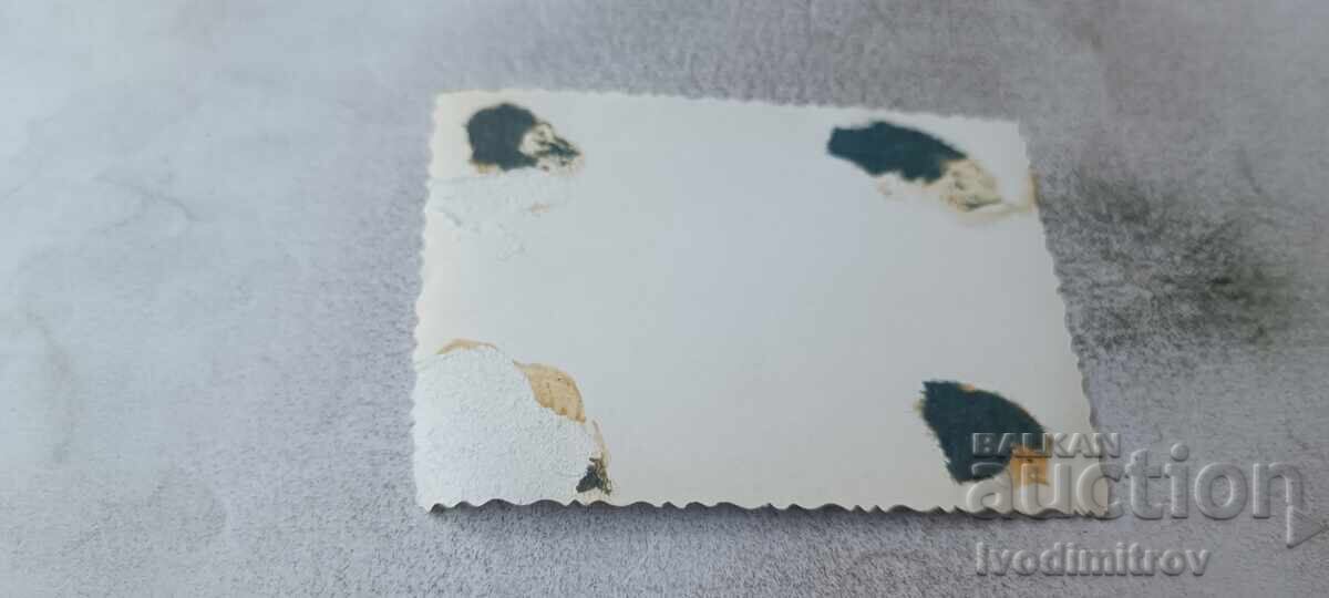 Fotografie Samokov Moscheea cu preț € 1.17 | 2.29 BGN