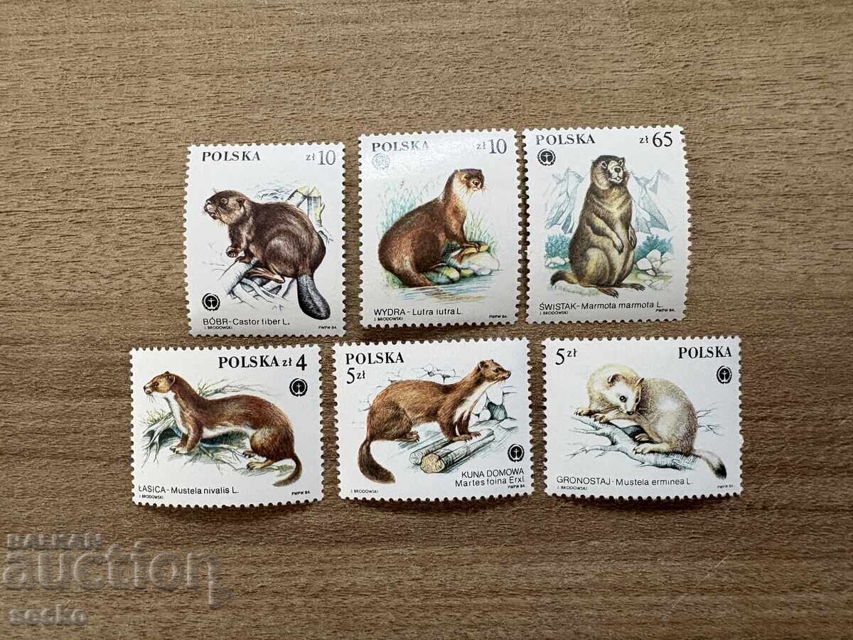 Polonia - Animale protejate cu blană valoroasă (1984) MNH Polonia - Animale protejate cu blană valoroasă (1984) MNH