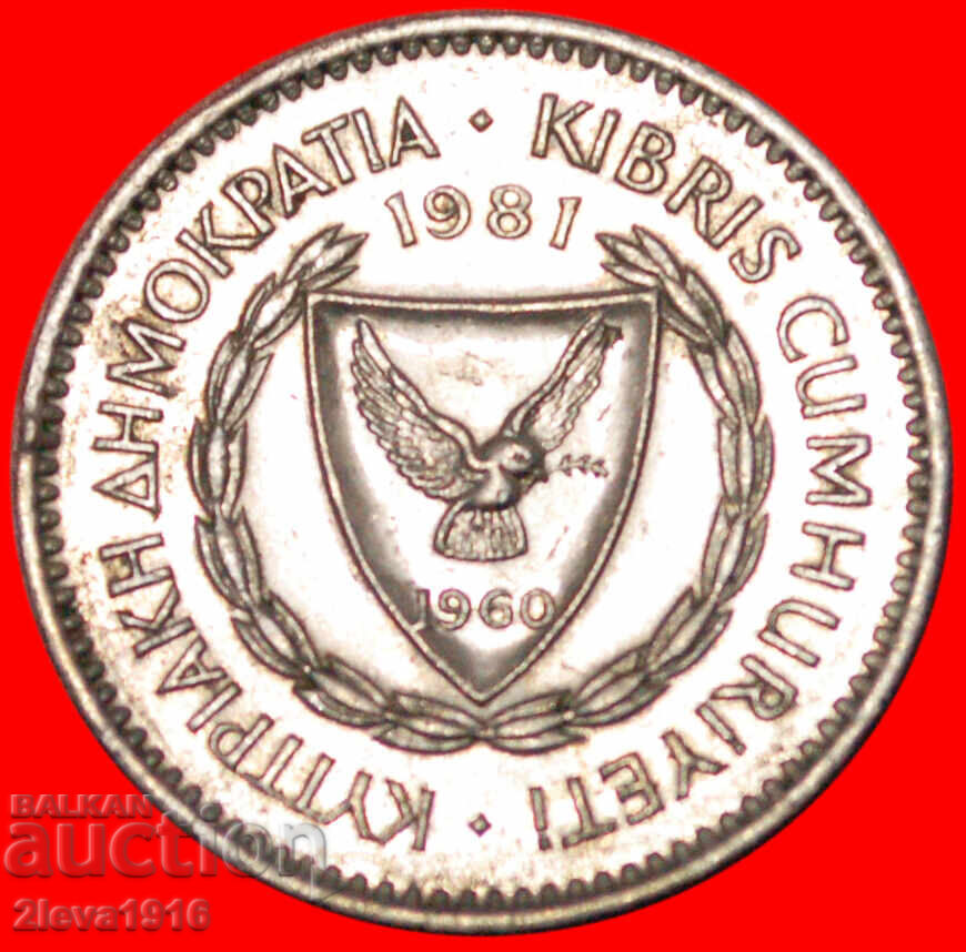 ★ CLUSTER of GRAPE ★ CYPRUS 50 MILS 1981! with price € 1.49 | 2.91 BGN