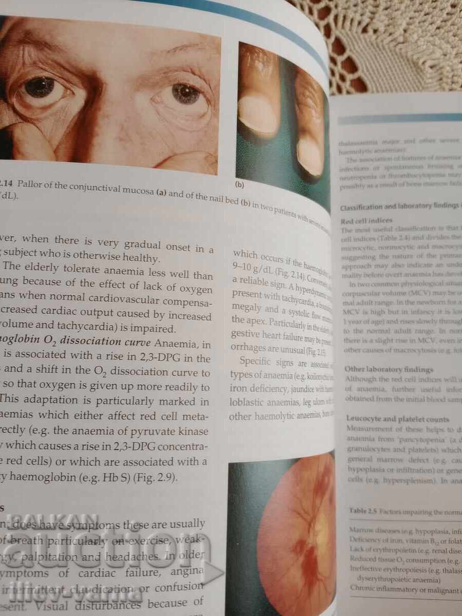 Hematologie cu preț € 10.00 | 19.56 BGN