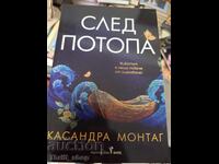След потопа Касандра Монтаг