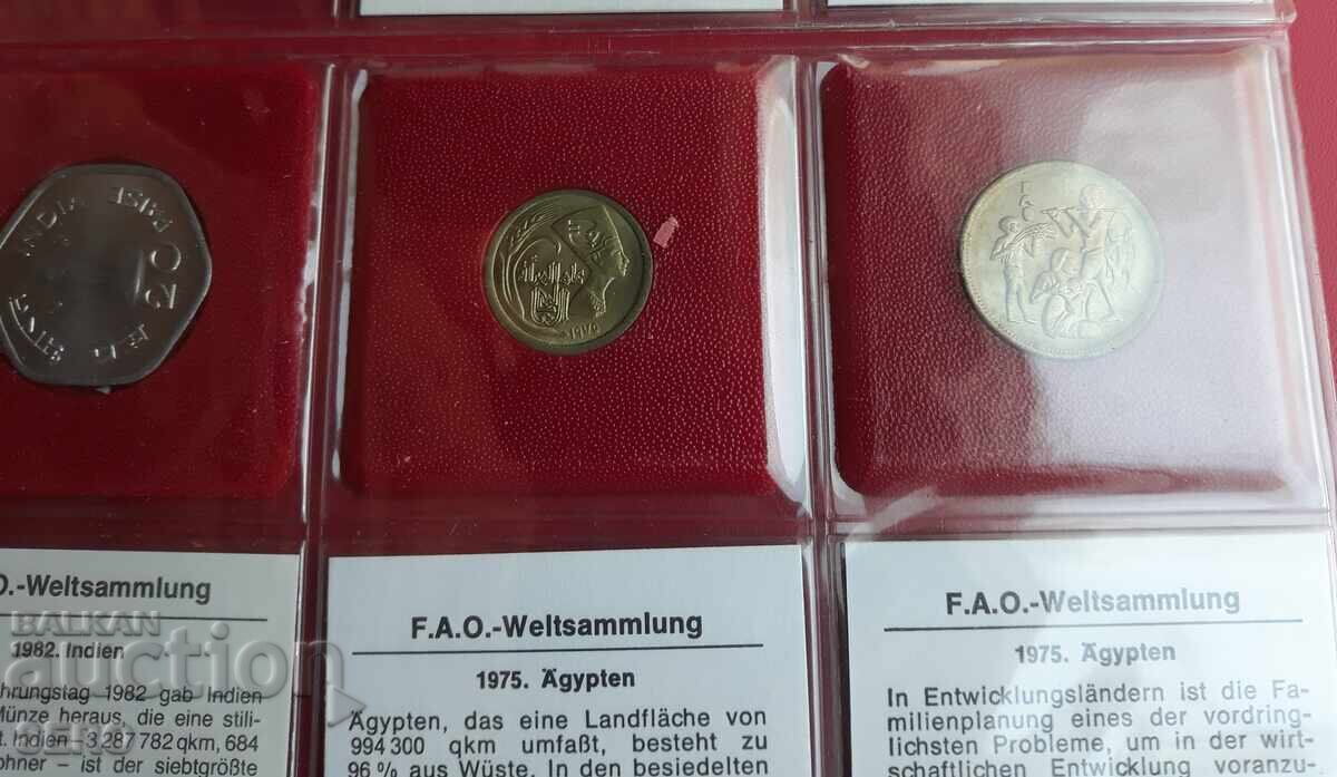 Auction  F.A.O. - lot of 5 coins