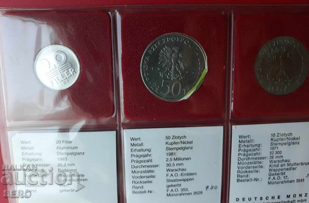 Delivery of F.A.O. - lot of 5 coins