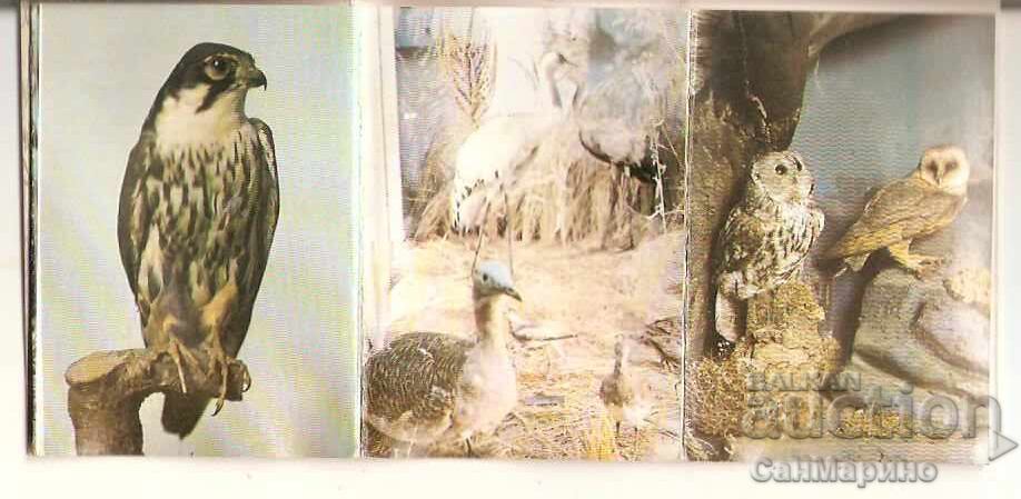 Delivery of Postcard Bulgaria Kotel Natural History Museum Mini album