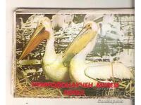 Postcard Bulgaria Kotel Natural History Museum Mini album