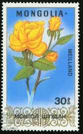Licitație Set de 7 timbre Rosie, 1988, Mongolia Licitație Set de 7 timbre Rosie, 1988, Mongolia