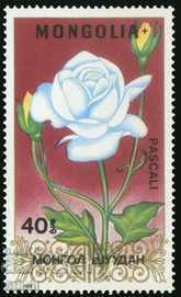 Livrarea Set de 7 timbre Rosie, 1988, Mongolia Livrarea Set de 7 timbre Rosie, 1988, Mongolia