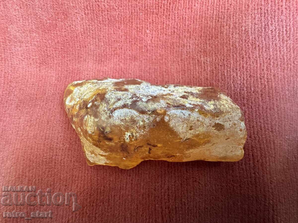 Chihlimbar 29 grame cu furnici, de colecție - 6