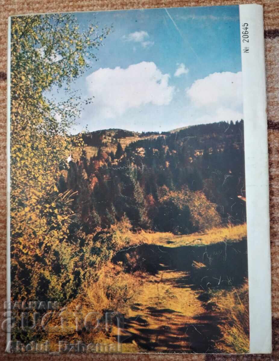 "Nasha Rodina" magazine - 1965, Gundi, Levski, football with price € 30.00 | 58.68 BGN