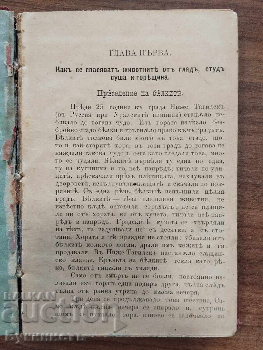 Παλαιό βιβλίο εκλαϊκευμένης επιστήμης. Λείπει ο τίτλος και η σελίδα τίτλου με τιμή € 25.00 | 48.90 BGN