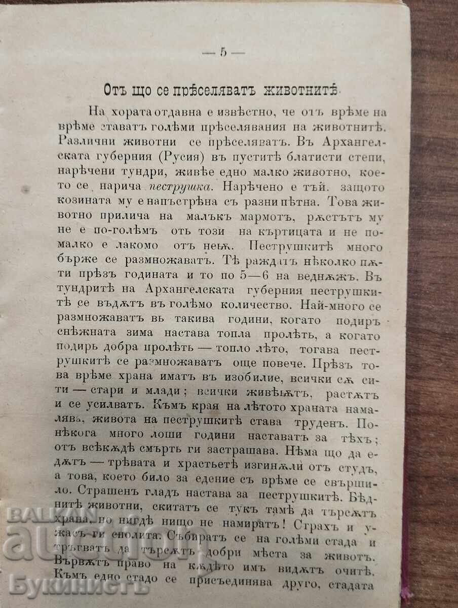 Δημοπρασία Παλαιό βιβλίο εκλαϊκευμένης επιστήμης. Λείπει ο τίτλος και η σελίδα τίτλου