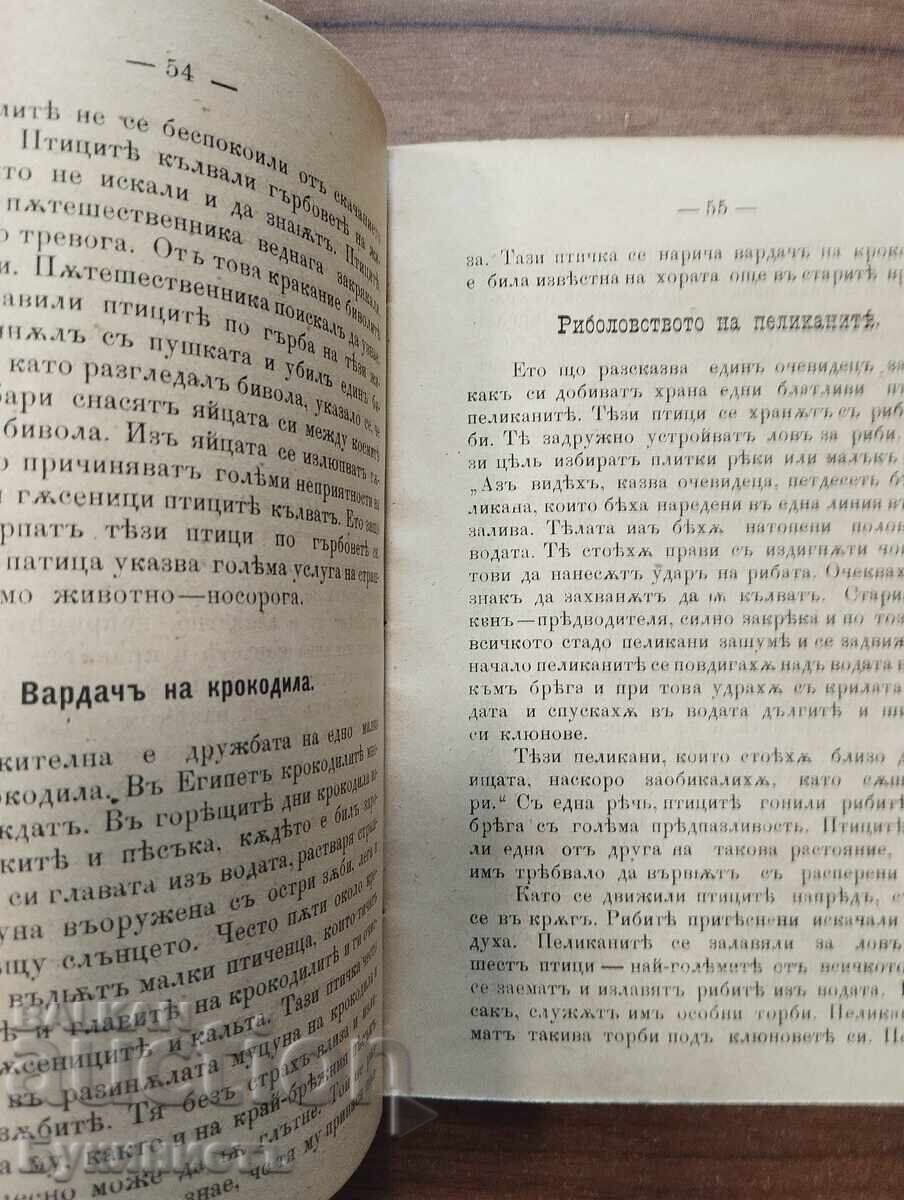 Παράδοση Παλαιό βιβλίο εκλαϊκευμένης επιστήμης. Λείπει ο τίτλος και η σελίδα τίτλου