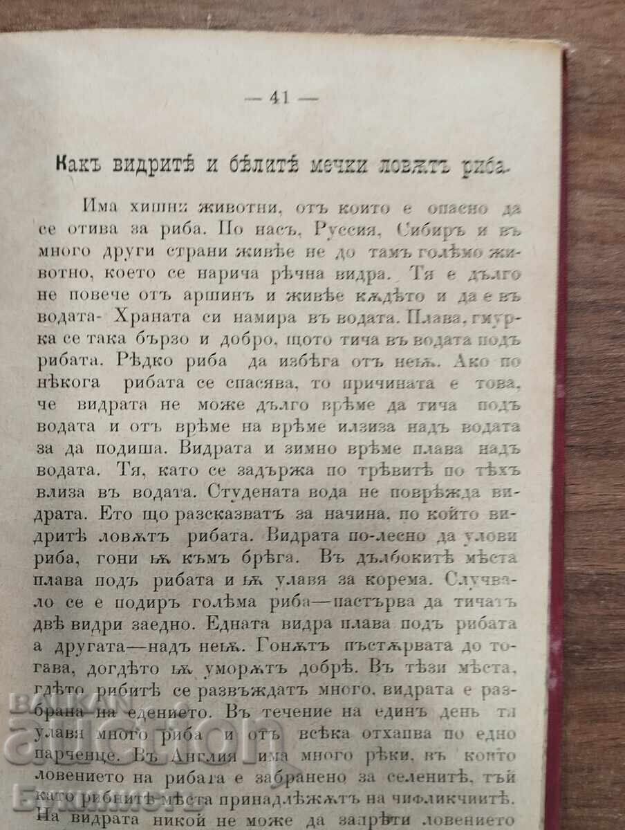 Παλαιό βιβλίο εκλαϊκευμένης επιστήμης. Λείπει ο τίτλος και η σελίδα τίτλου - 5