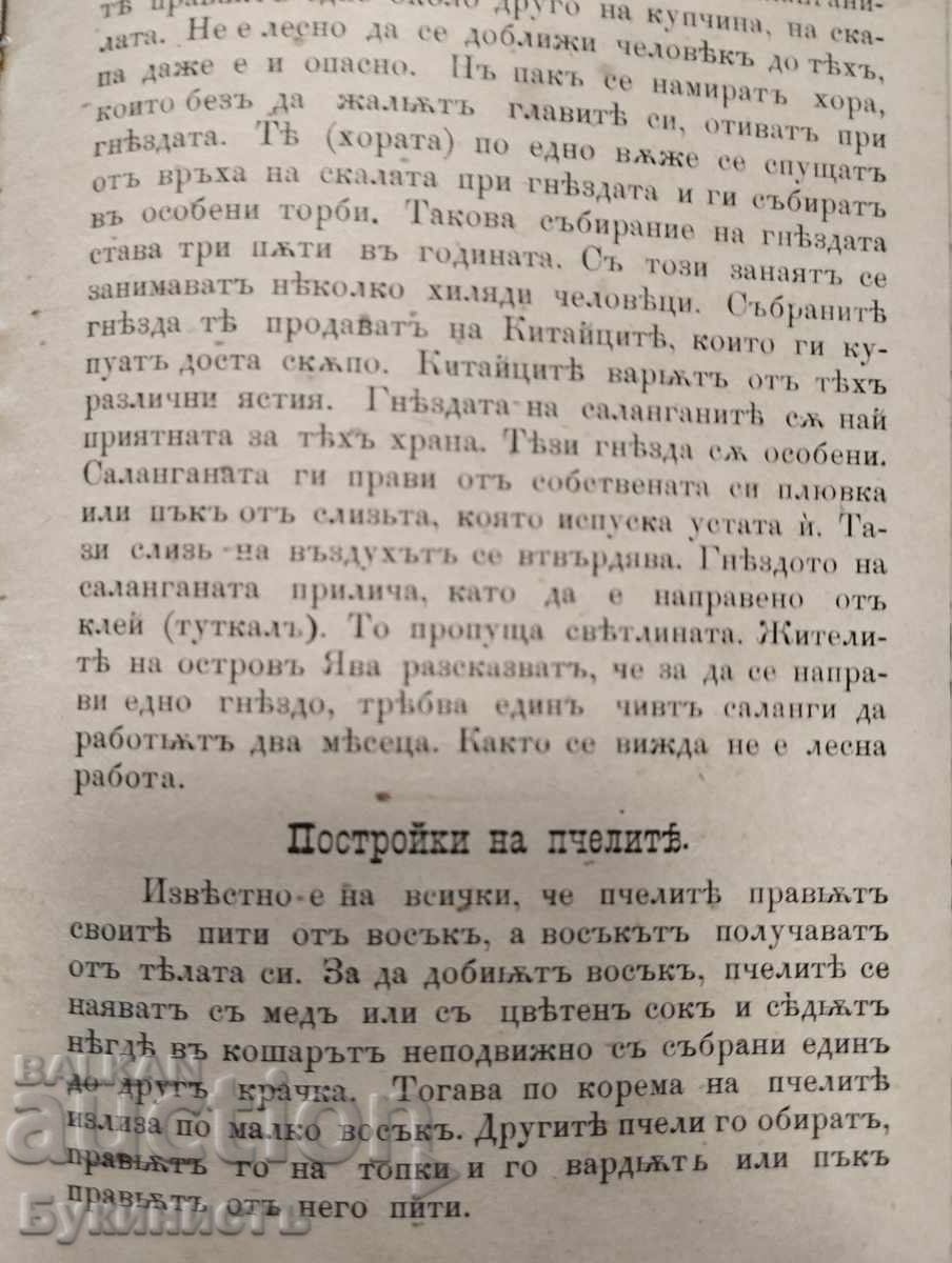 Παλαιό βιβλίο εκλαϊκευμένης επιστήμης. Λείπει ο τίτλος και η σελίδα τίτλου - 6